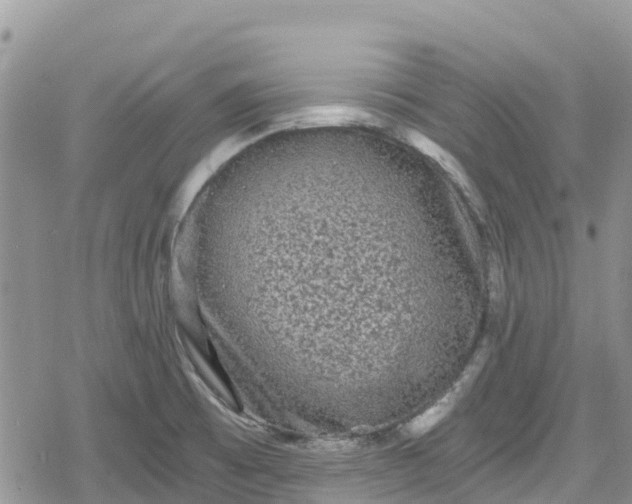 X0000078861473200611271359