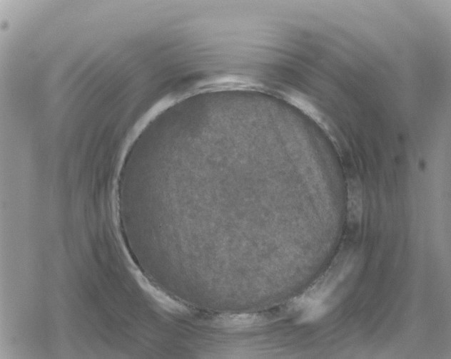 X0000078861474200611271359