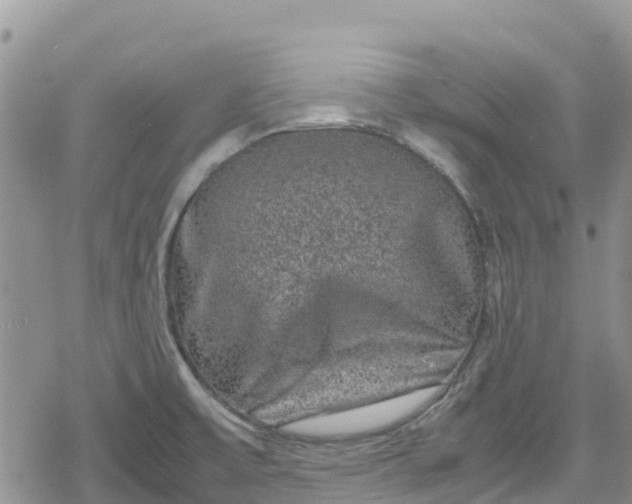 X0000078861475200611271359