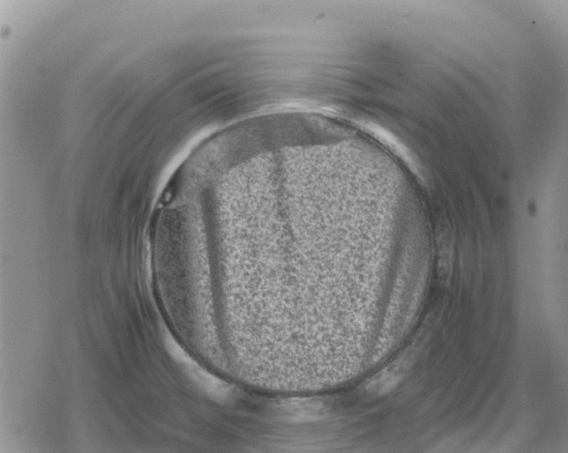 X0000078861476200611271359