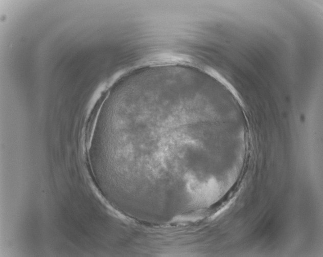 X0000078861477200611271359