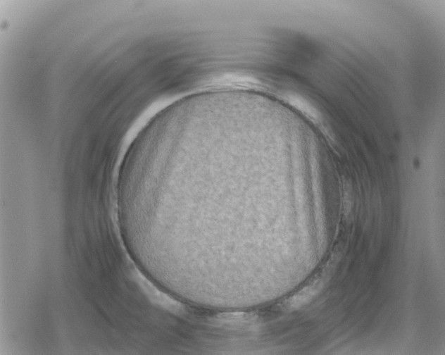 X0000078861478200611271359