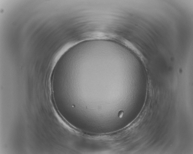 X0000078861479200611271359