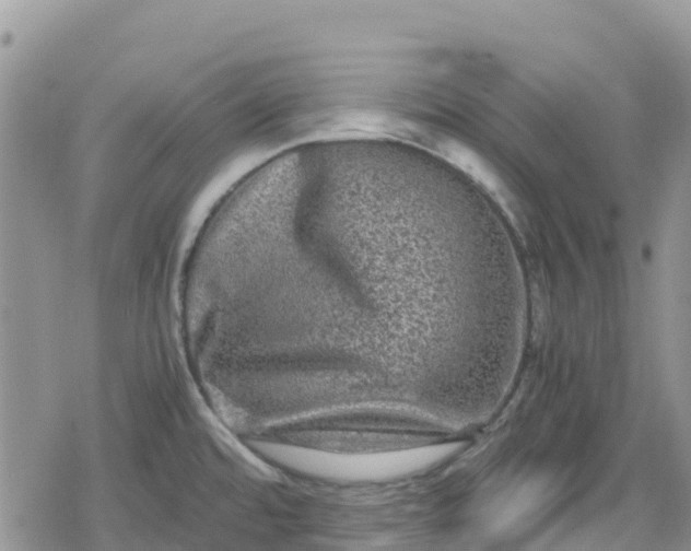 X0000078861480200611271359