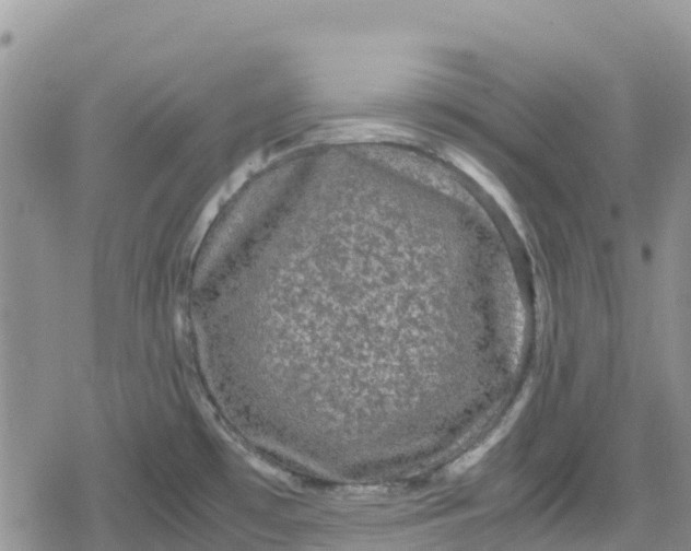 X0000078861481200611271359