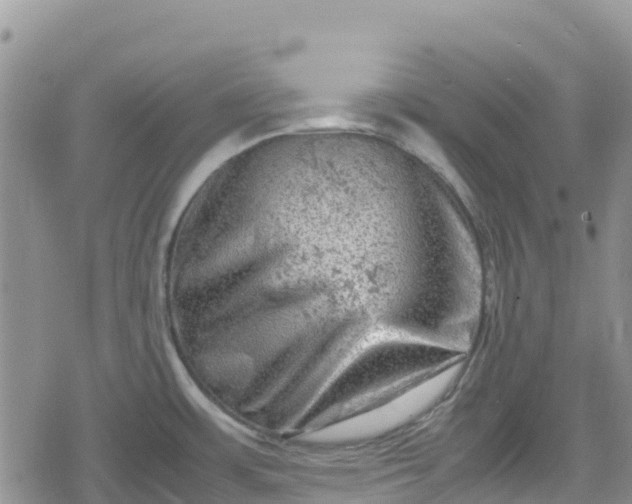 X0000078861483200611271359