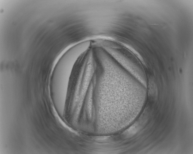 X0000078861484200611271359