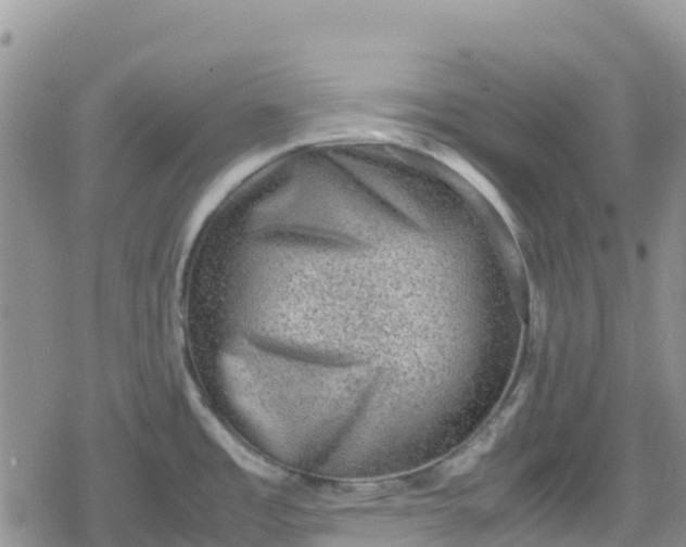 X0000078861485200611271359