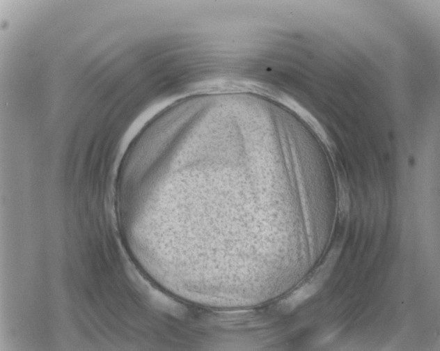 X0000078861486200611271359