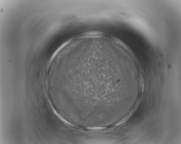 X0000078861487200611271359