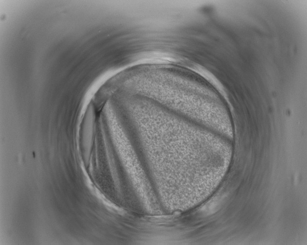 X0000078861488200611271359