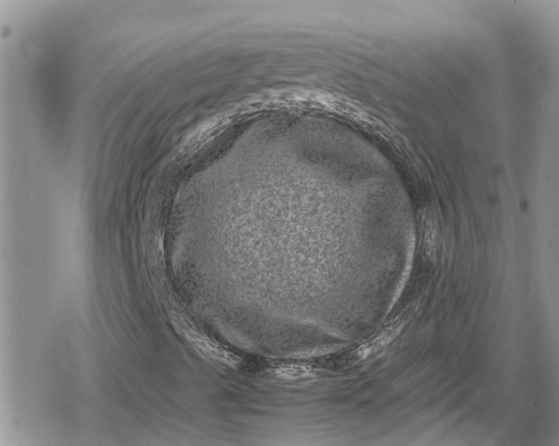 X0000078861489200611271358