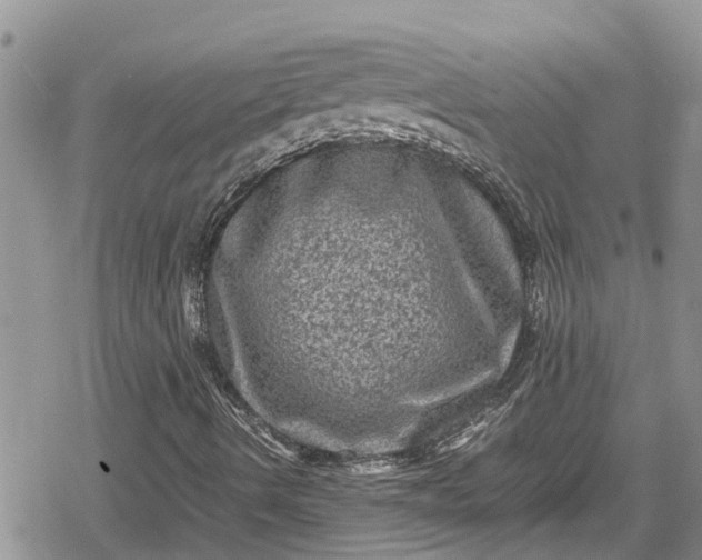 X0000078861490200611271358