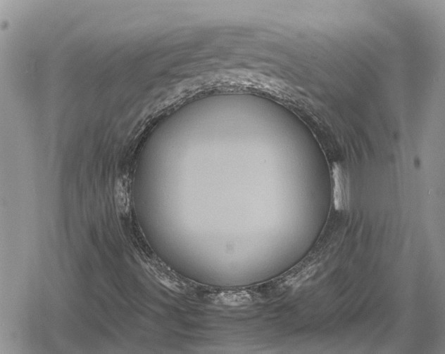 X0000078861491200611271358