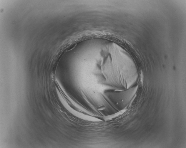 X0000078861492200611271358