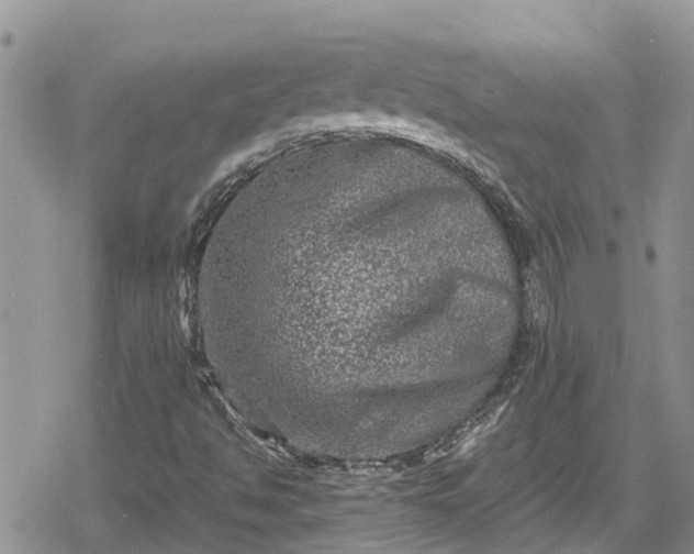 X0000078861494200611271358