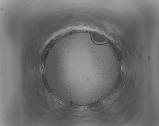 X0000078861495200611271358