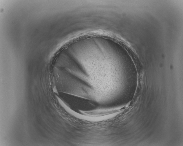 X0000078861496200611271358