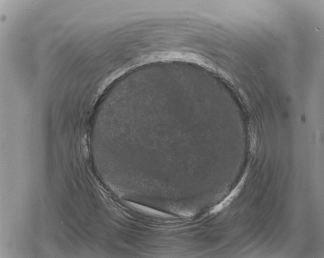 X0000078861497200611271358