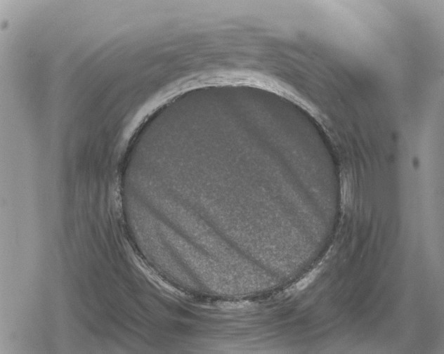 X0000078861498200611271358