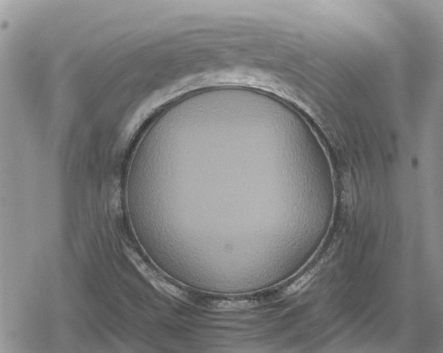 X0000078861499200611271358