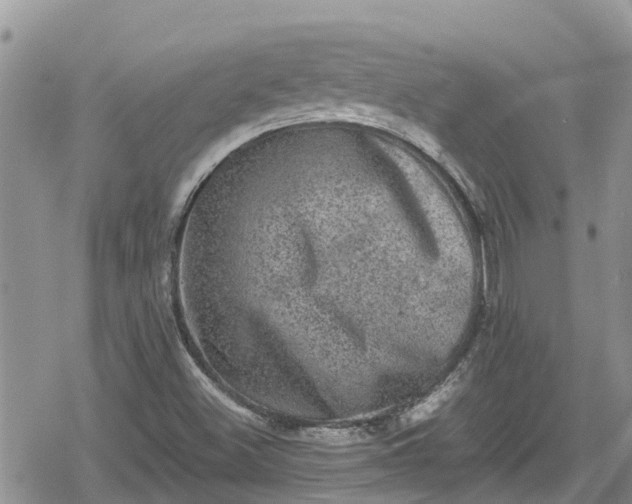 X0000078861500200611271359