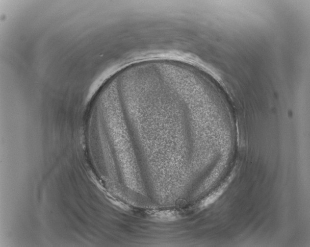 X0000078861501200611271359