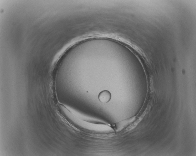 X0000078861502200611271359