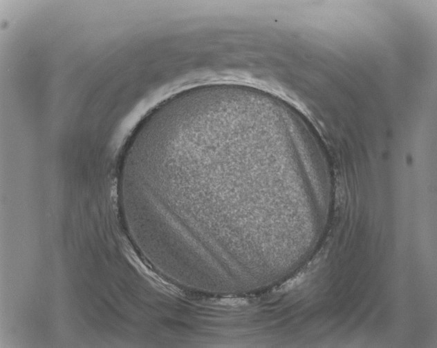 X0000078861503200611271359