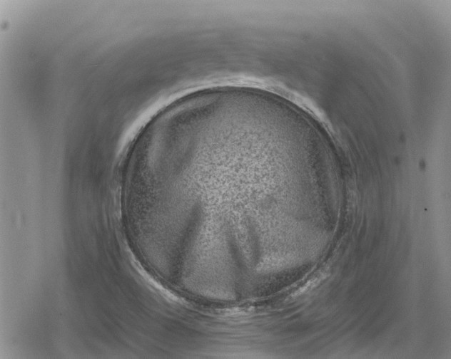 X0000078861504200611271359