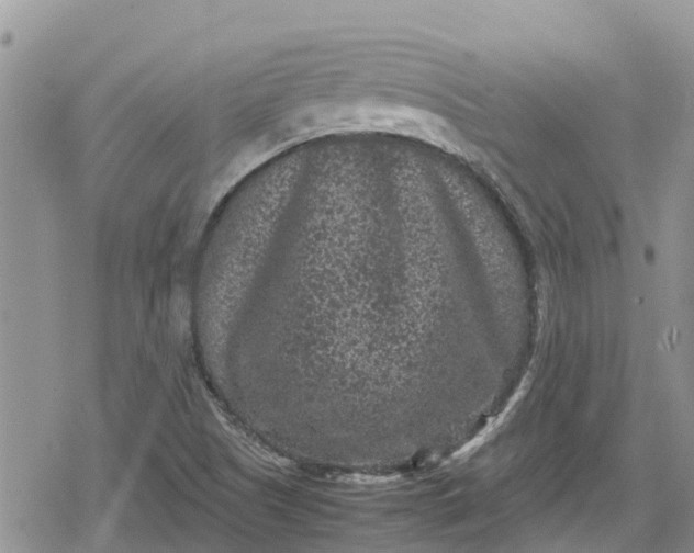 X0000078861505200611271359