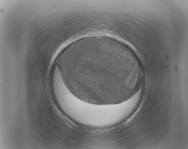 X0000078861506200611271359