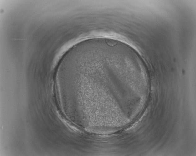 X0000078861507200611271359