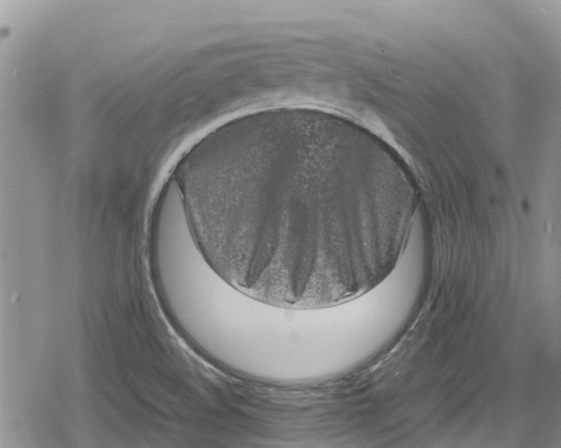 X0000078861508200611271359