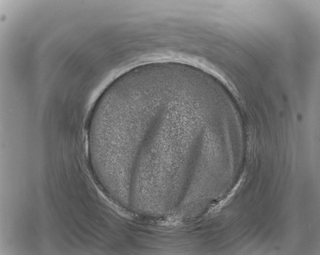 X0000078861509200611271359