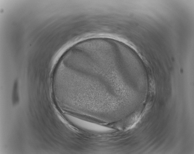 X0000078861511200611271359