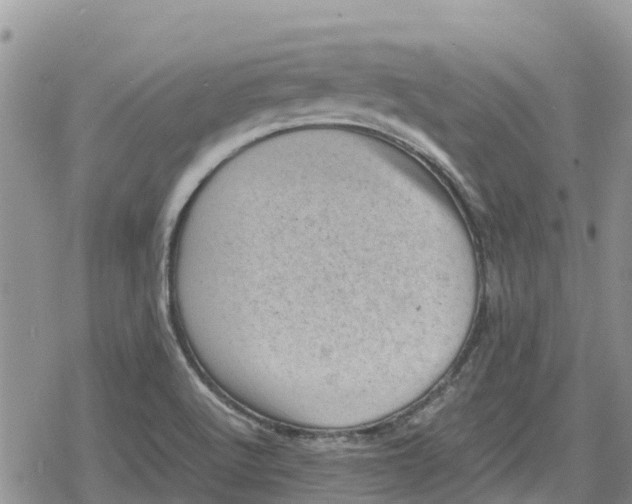 X0000078861512200611271359