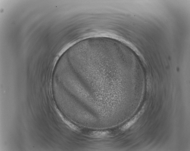 X0000078861513200611271359