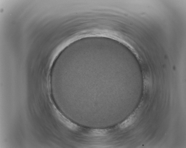 X0000078861514200611271359