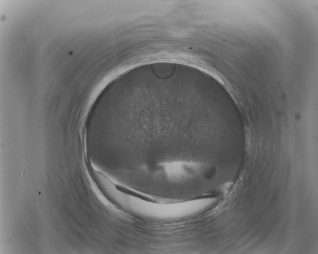 X0000078861515200611271359