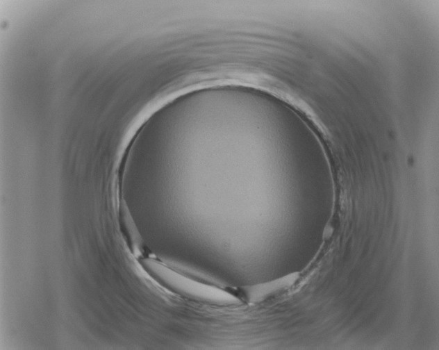 X0000078861516200611271359