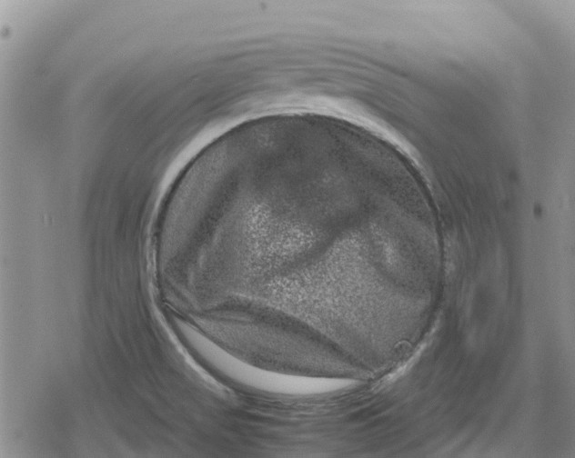 X0000078861517200611271359