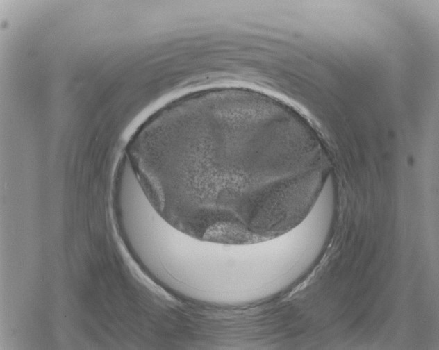 X0000078861518200611271359