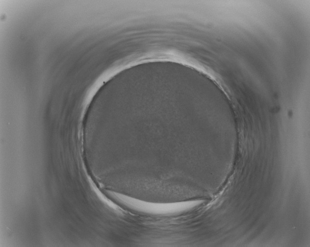 X0000078861519200611271359