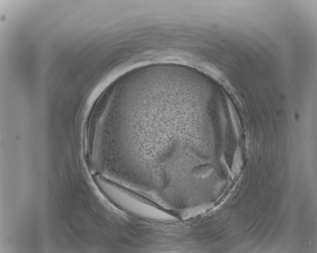 X0000078861520200611271359