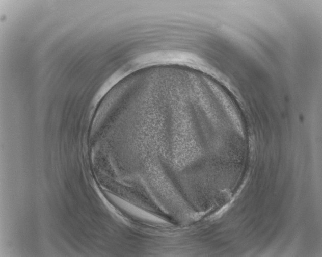 X0000078861521200611271359