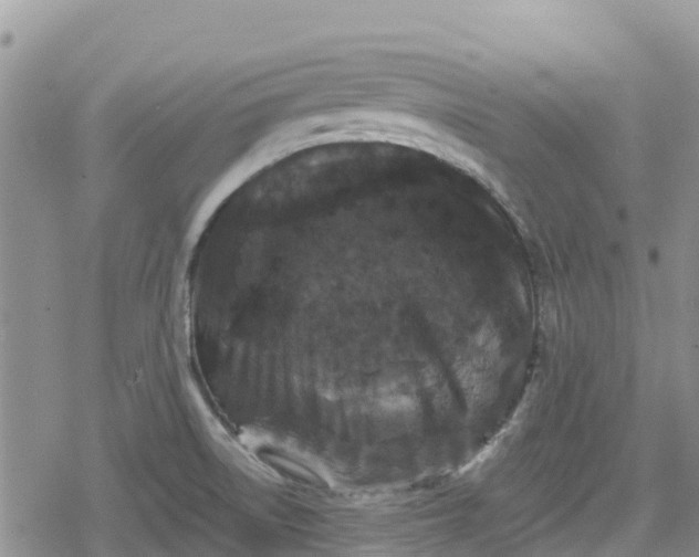 X0000078861522200611271359