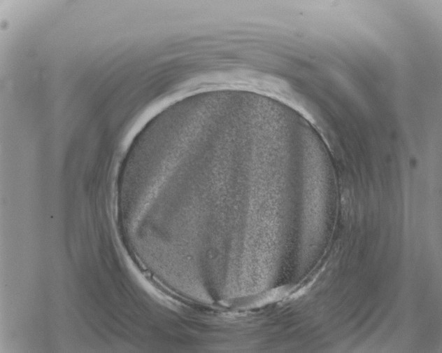 X0000078861523200611271359