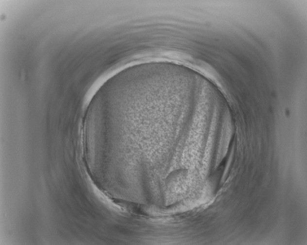 X0000078861524200611271359