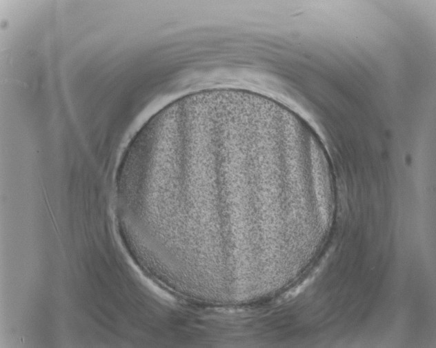 X0000078861525200611271359